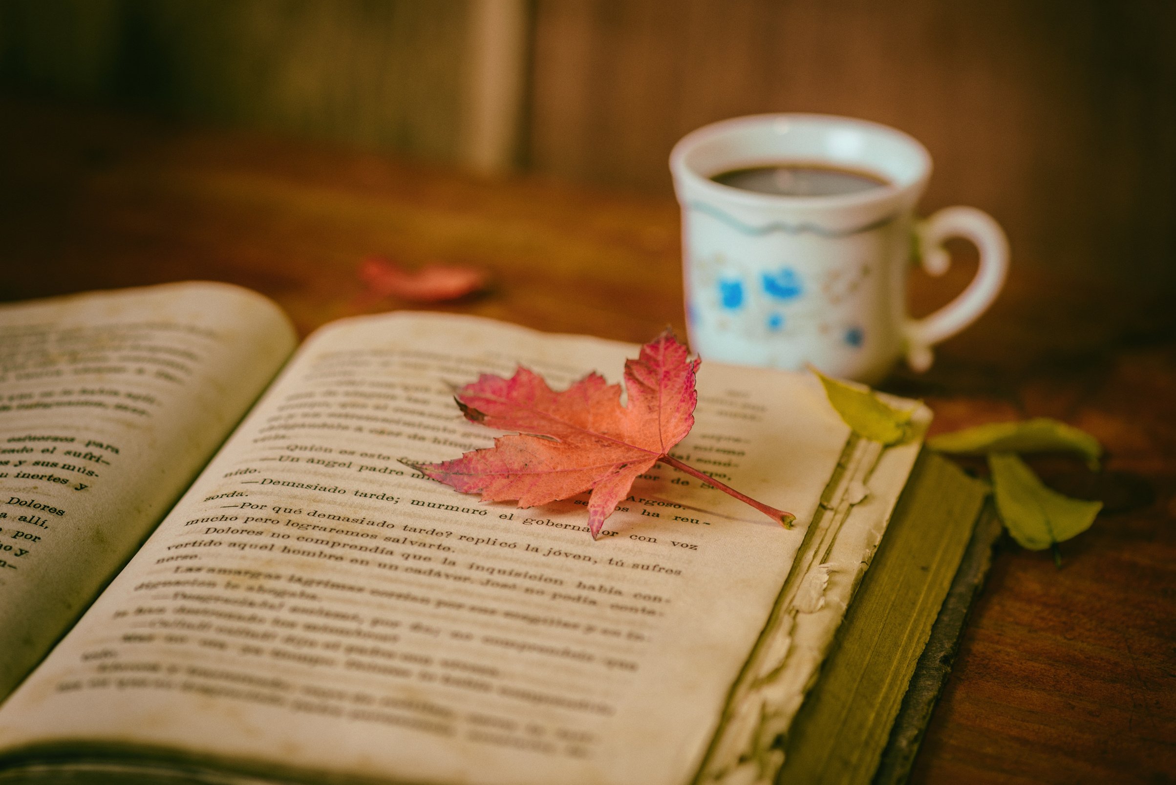 Leaf on a Book